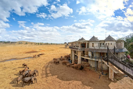 Salt Lick Game Lodge
